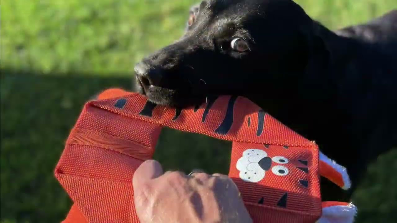 EAN:8716759614734 #2