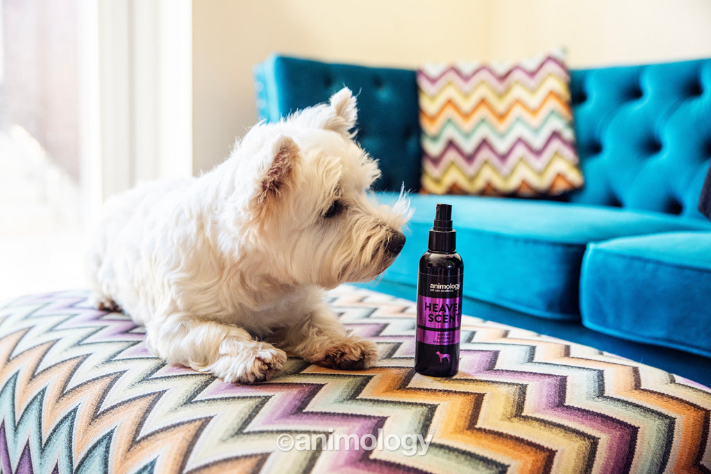 EAN:5060180815387 #2