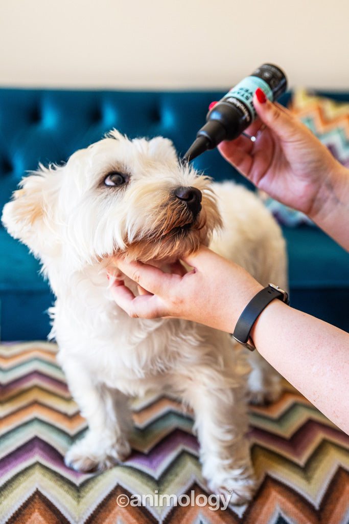 EAN:5060180819231 #2