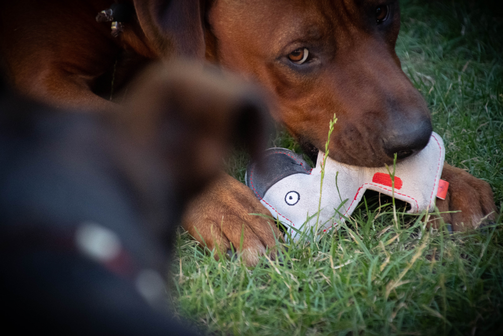 EAN:8716759579859 #4