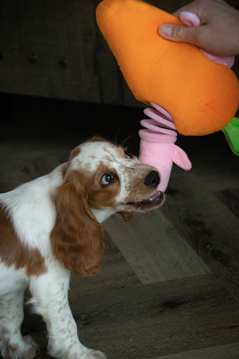 EAN:8716759595897 #4