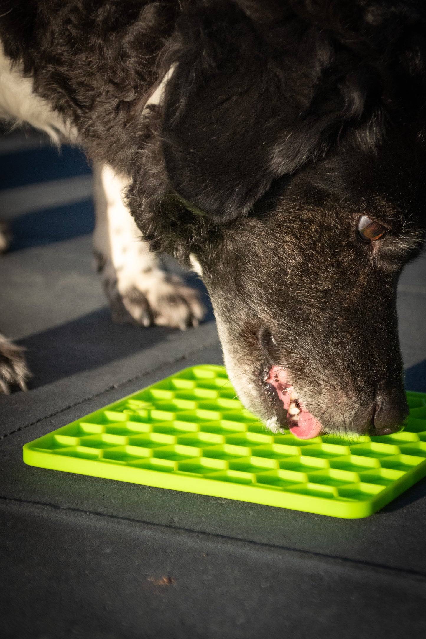 EAN:8716759605381 #4