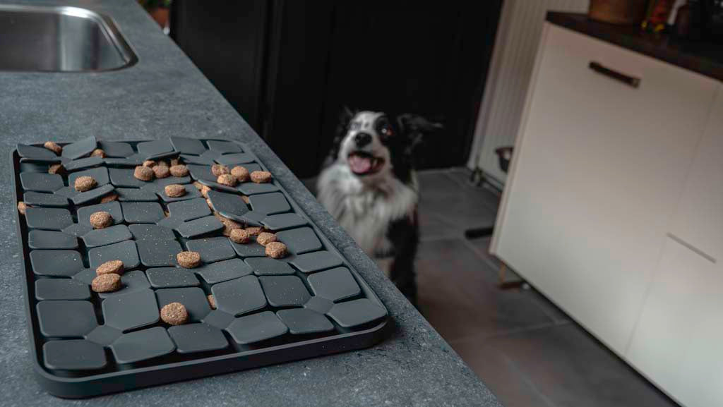 EAN:8716759637146 #6