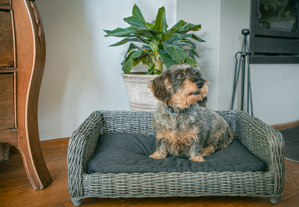 EAN:8716759636217 #3