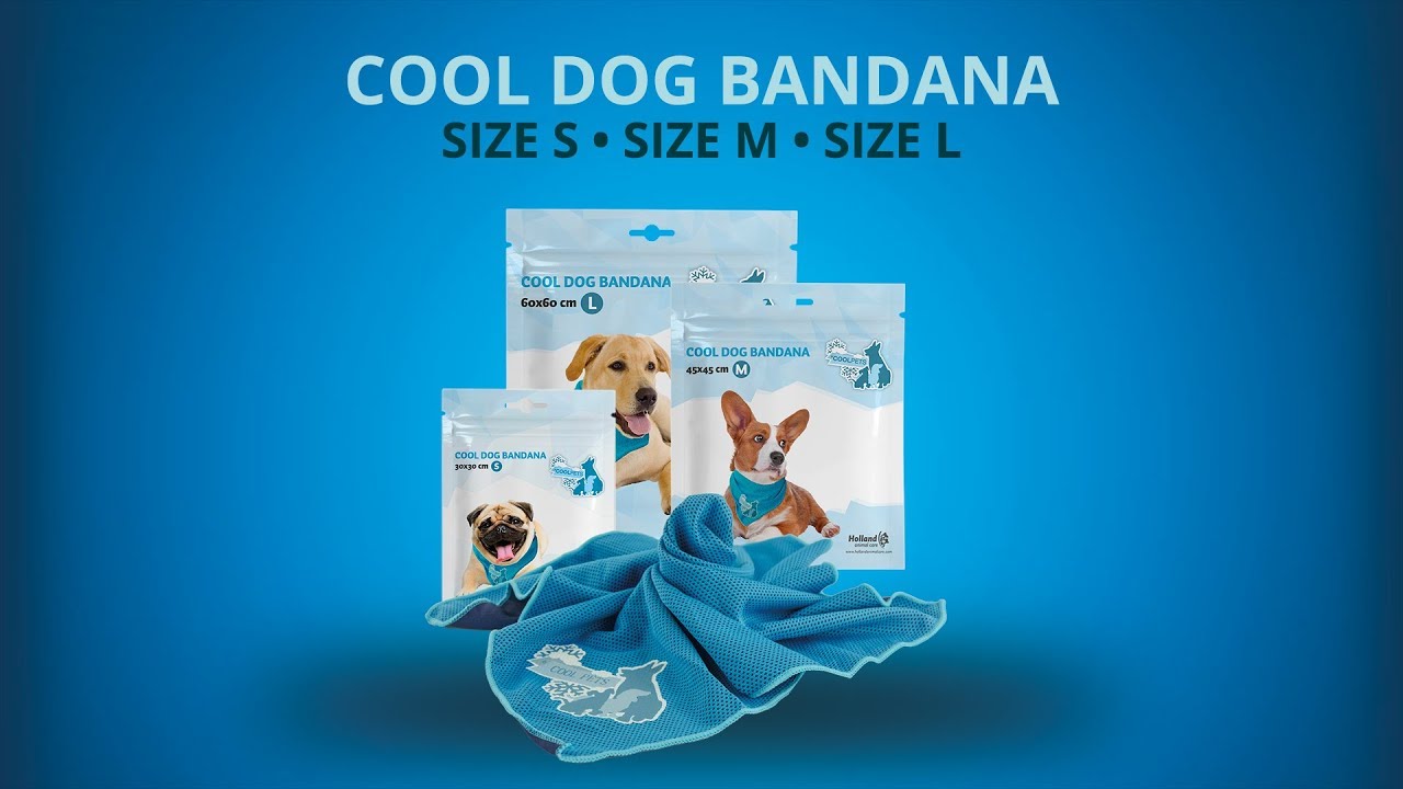 EAN:8716759547742 #6