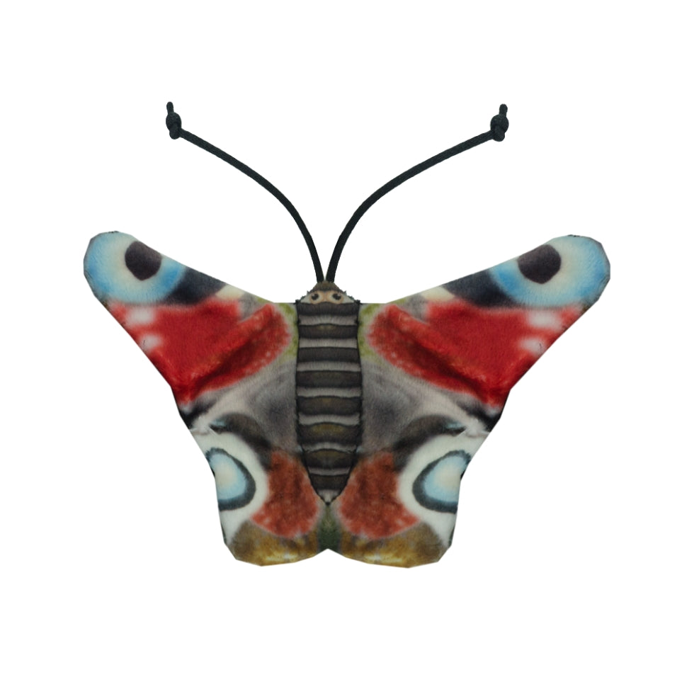 Wild Life Cat Tagpfauenauge