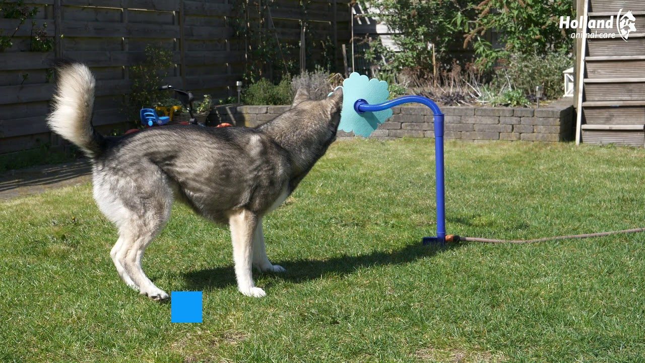 EAN:8716759578494 #5