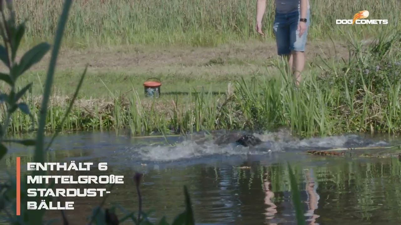 EAN:8716759629325 #2