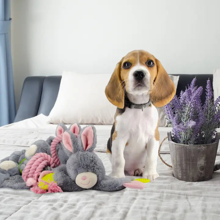 EAN:8716759567184 #3