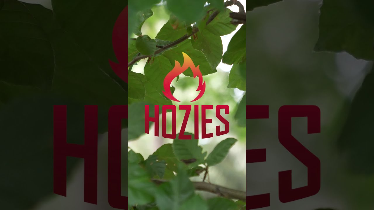 EAN:8716759579347 #2