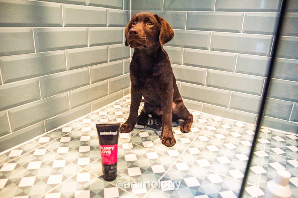 EAN:5065000941994 #3