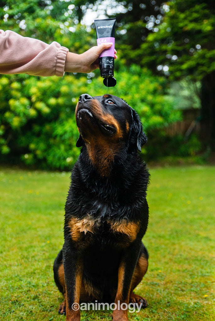 EAN:5060180810061 #3