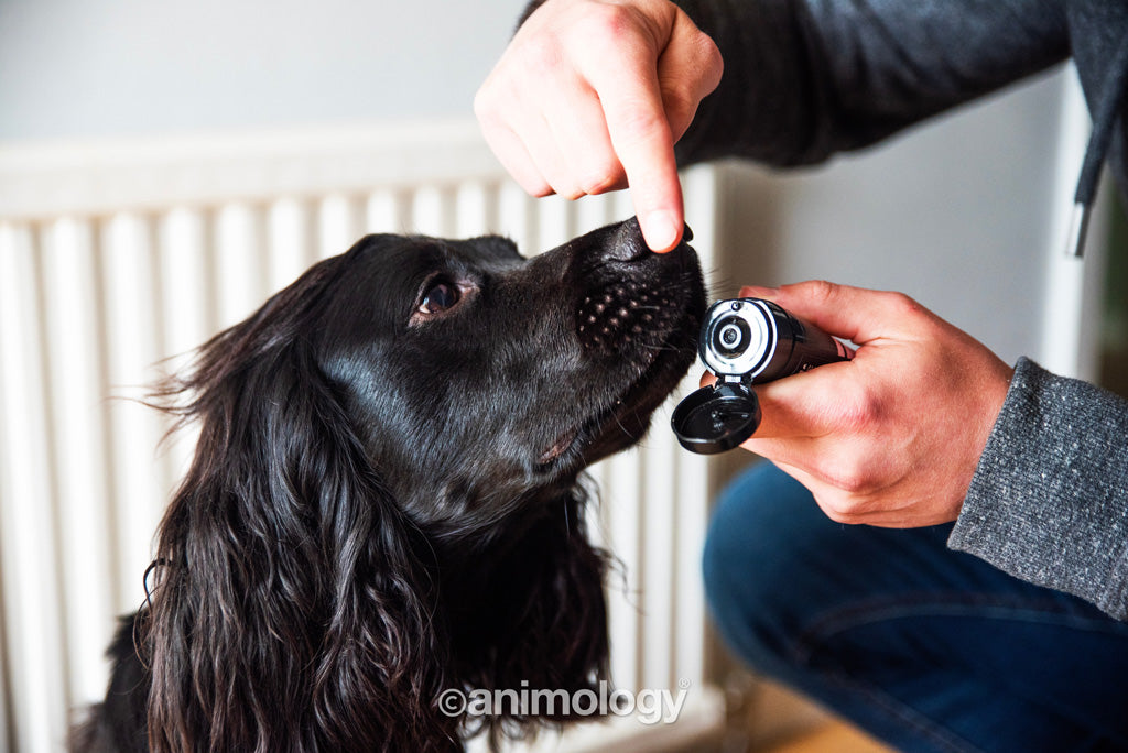 EAN:5060180815998 #4