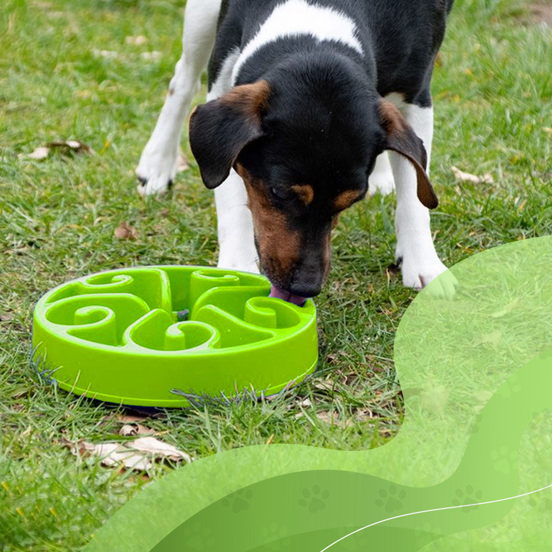 EAN:8716759534902 #3