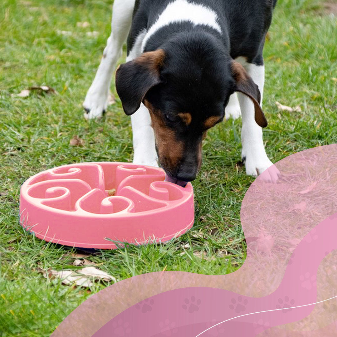 EAN:8716759534919 #4