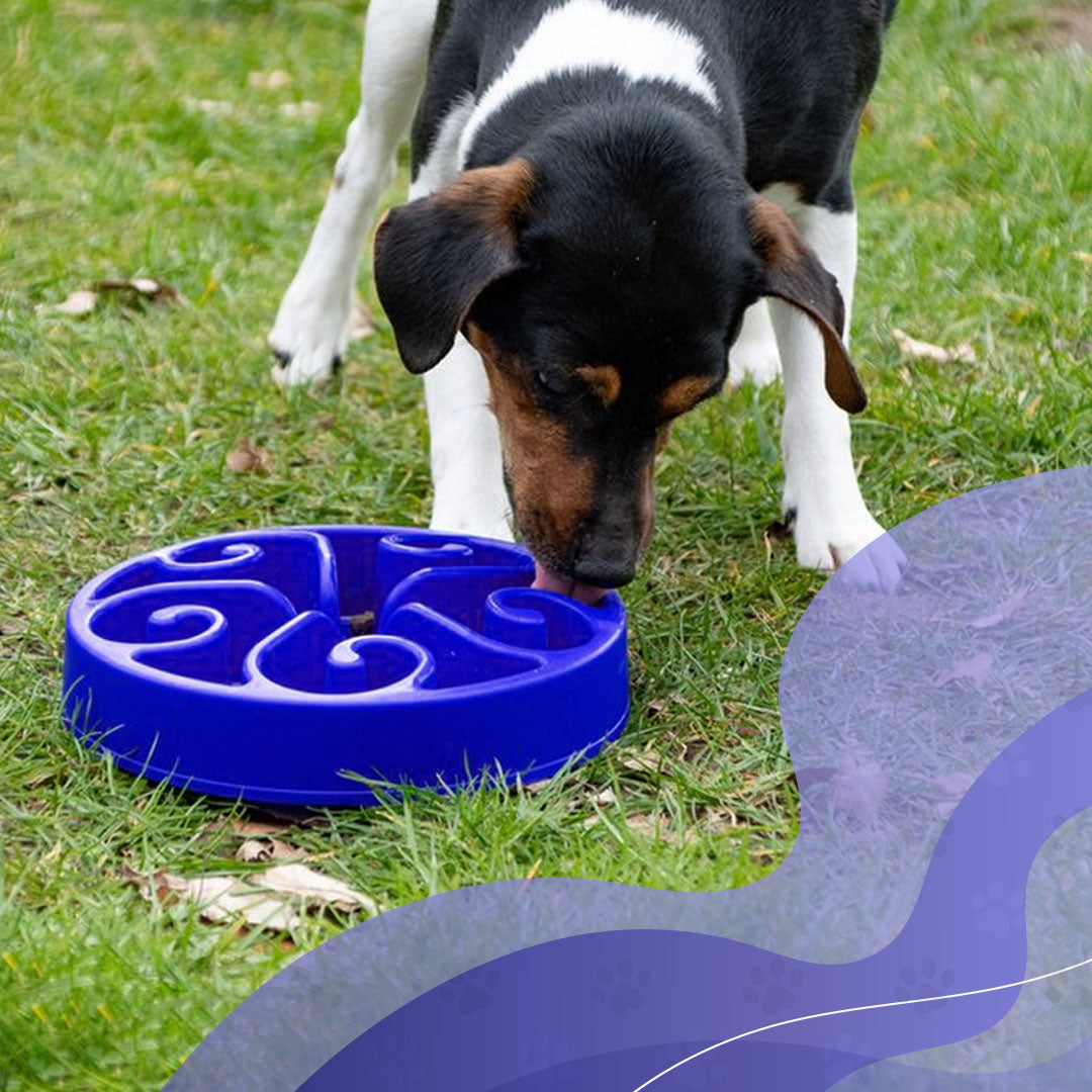 EAN:8716759534865 #3