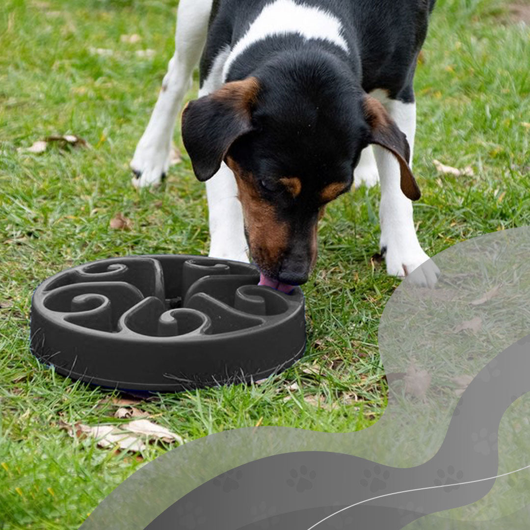 EAN:8716759534889 #3