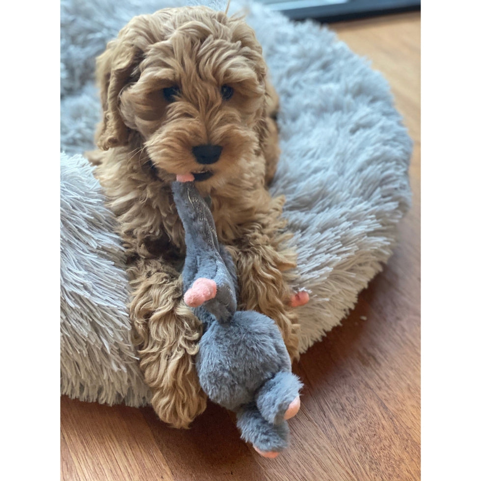 EAN:8716759567214 #3