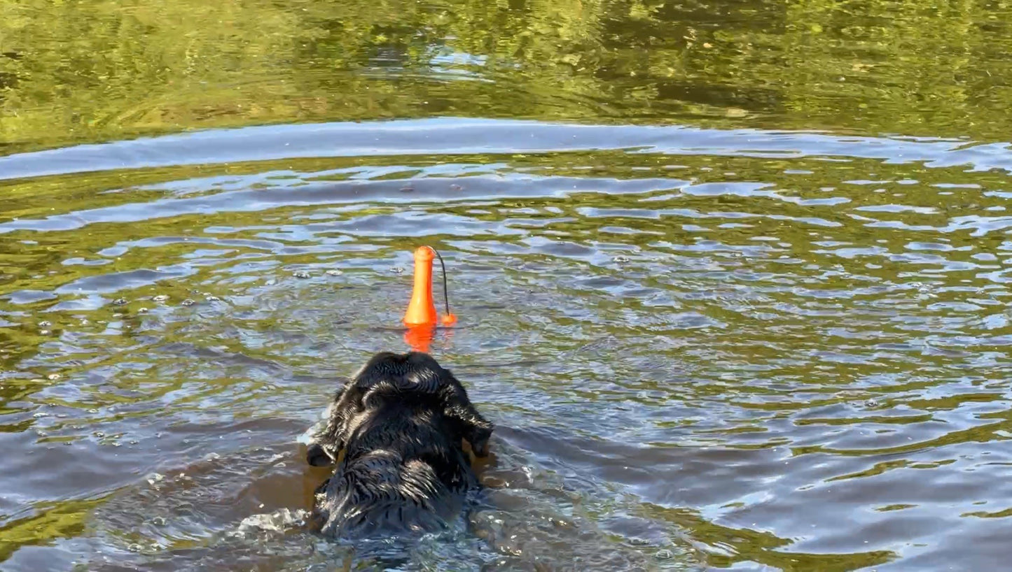 EAN:8716759653290 #4