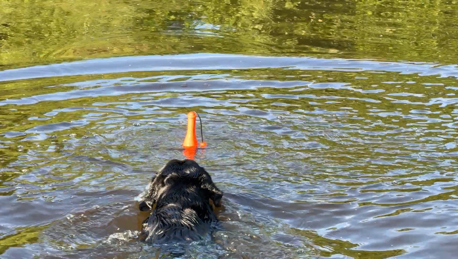 EAN:8716759653290 #4