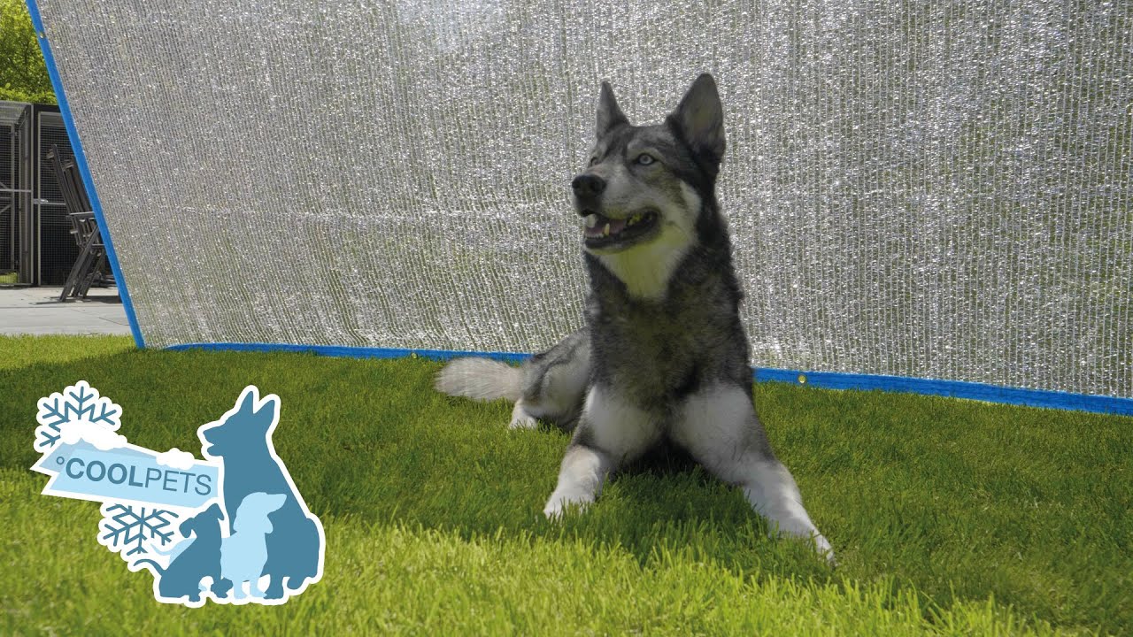 EAN:8716759591844 #2