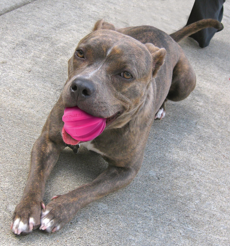 EAN:8716759527737 #2