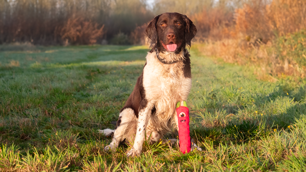 EAN:8716759648418 #3