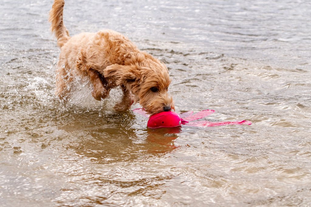 EAN:8716759640603 #3