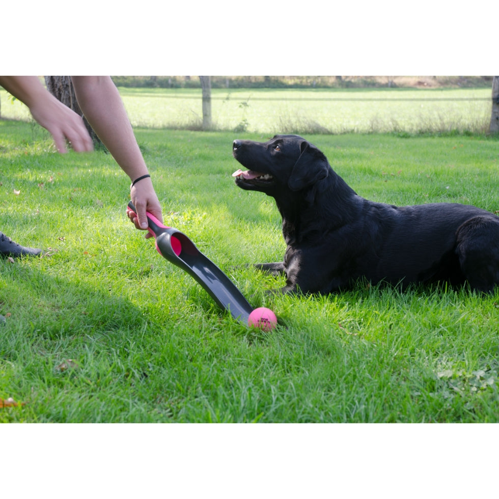 EAN:8716759561816 #2