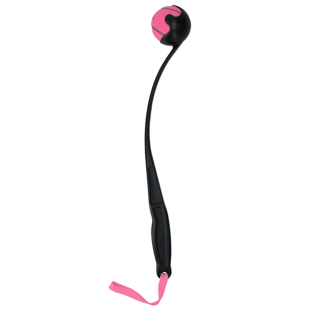 EAN:8716759647473 #2