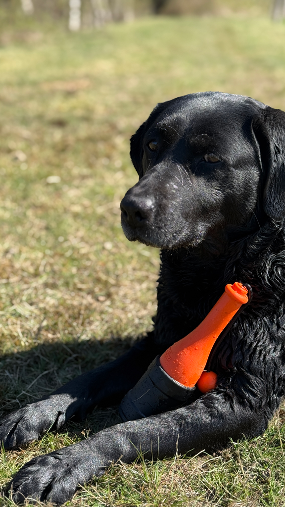 EAN:8716759653290 #5