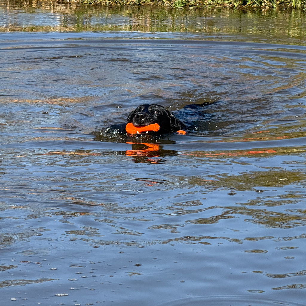 EAN:8716759653290 #6