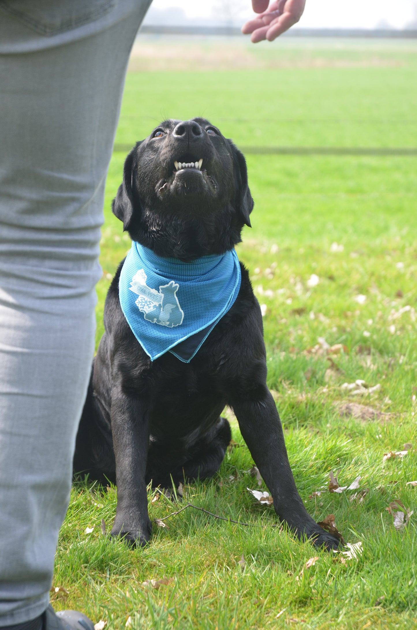 EAN:8716759547742 #5