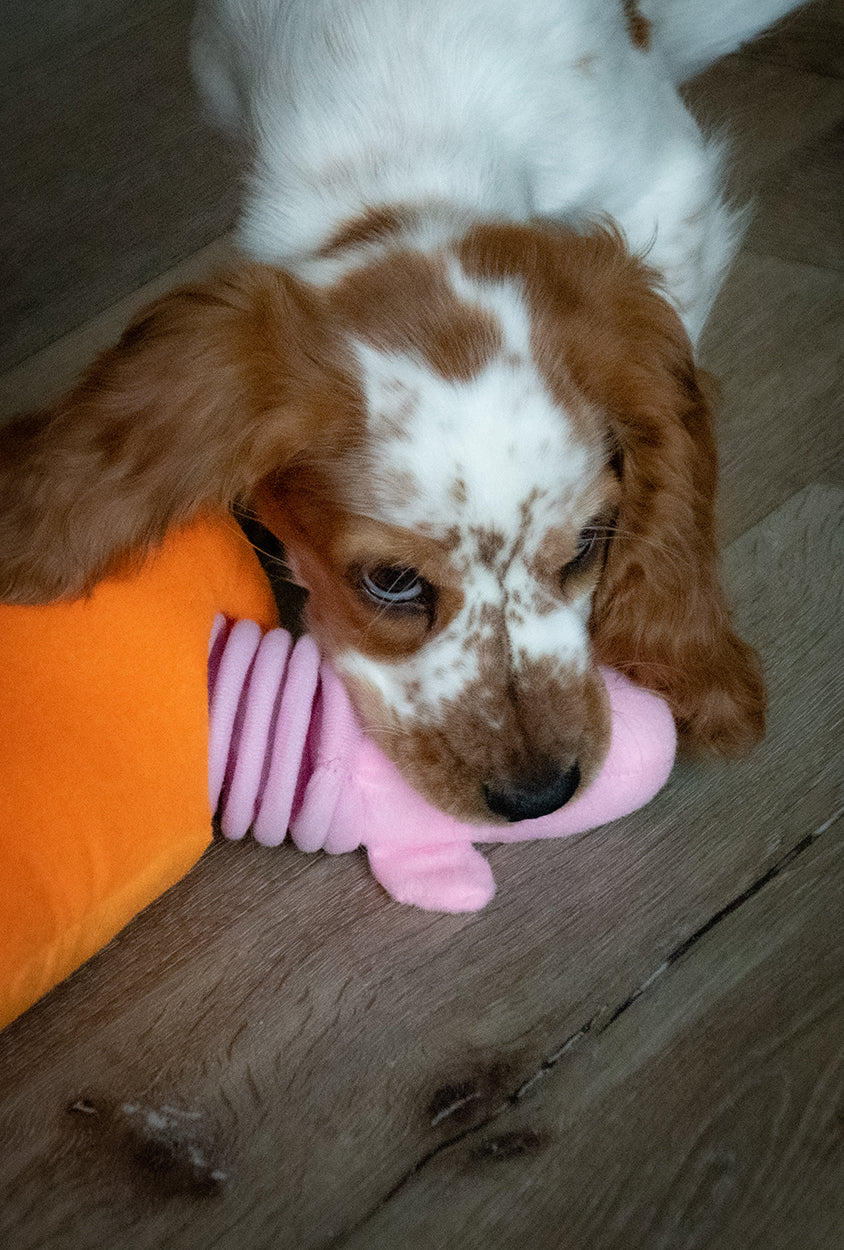 EAN:8716759595897 #3