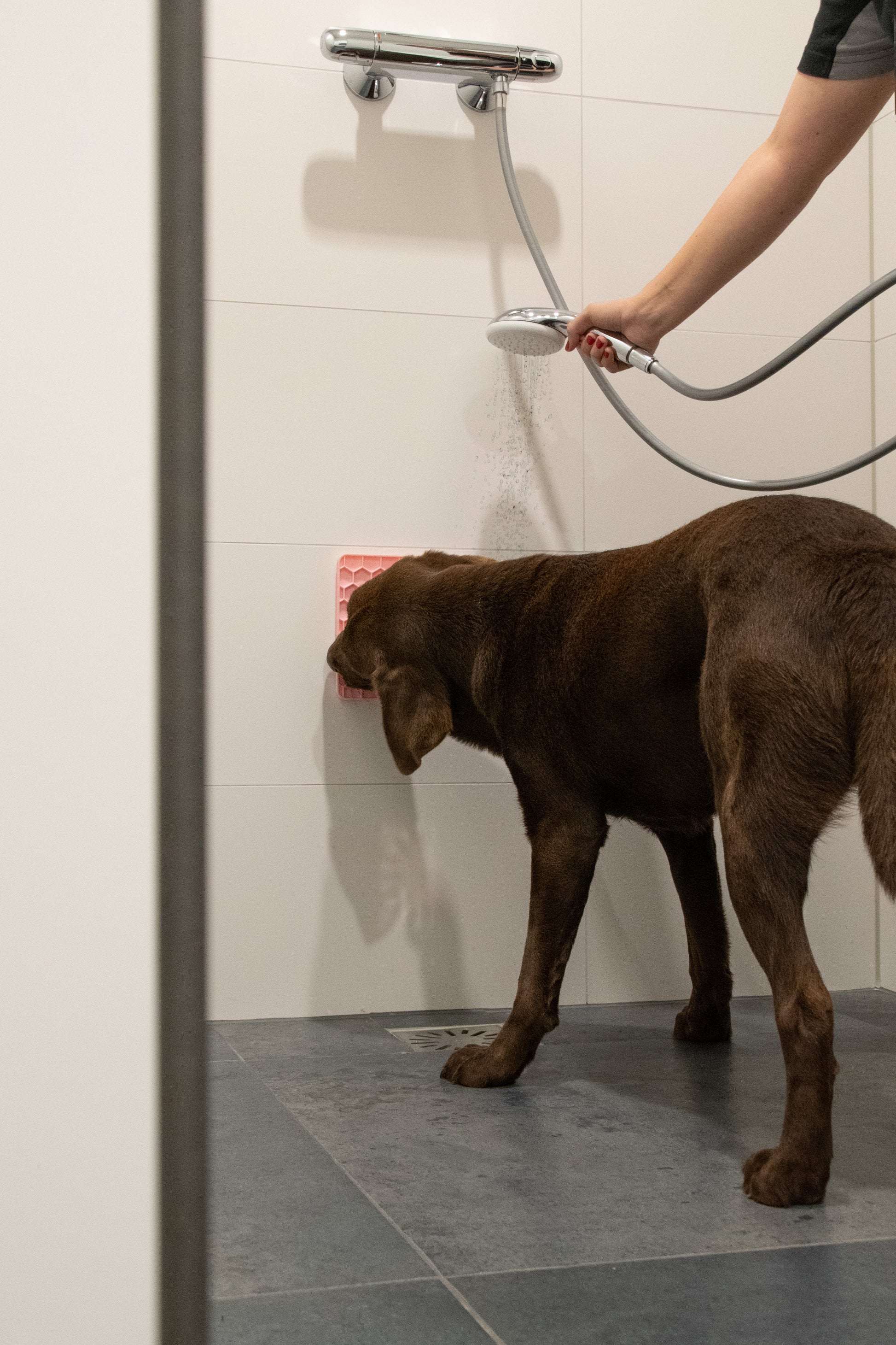 EAN:8716759605350 #3