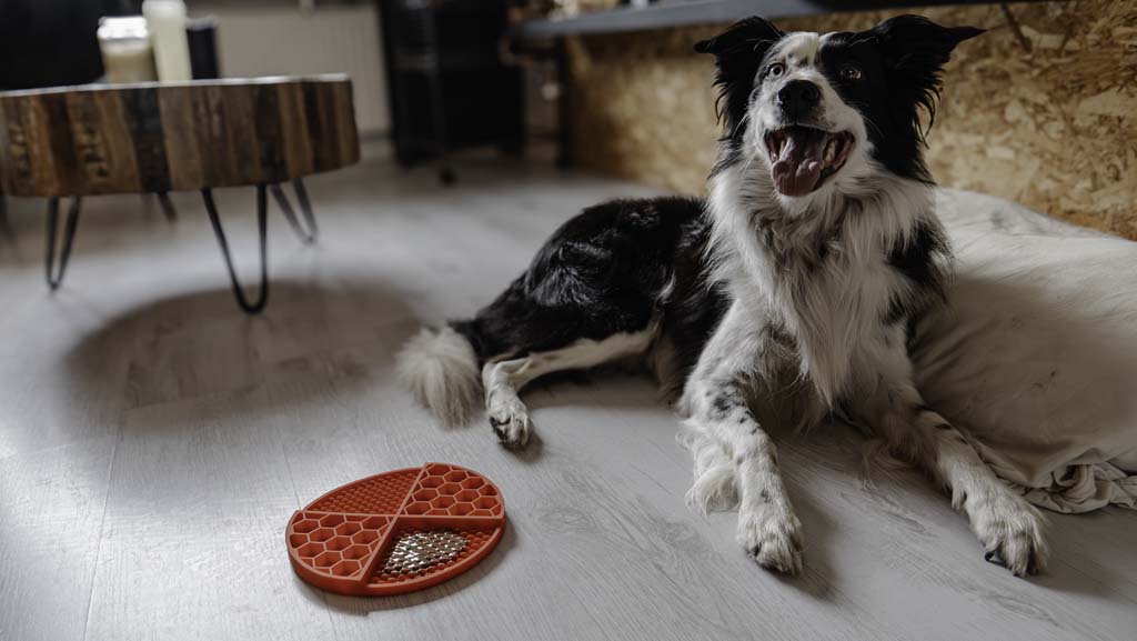 EAN:8716759632646 #5