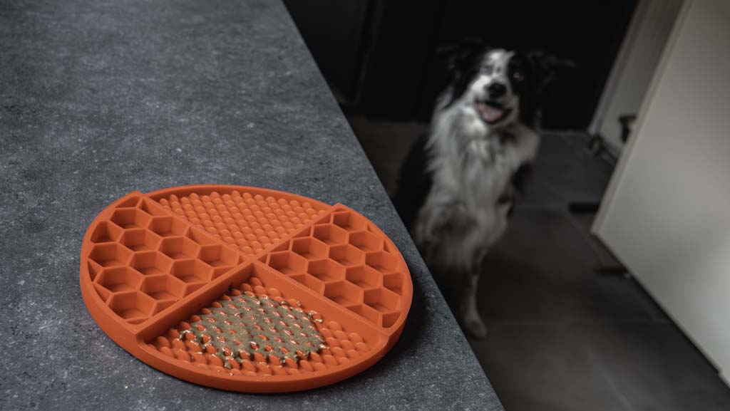 EAN:8716759632646 #6