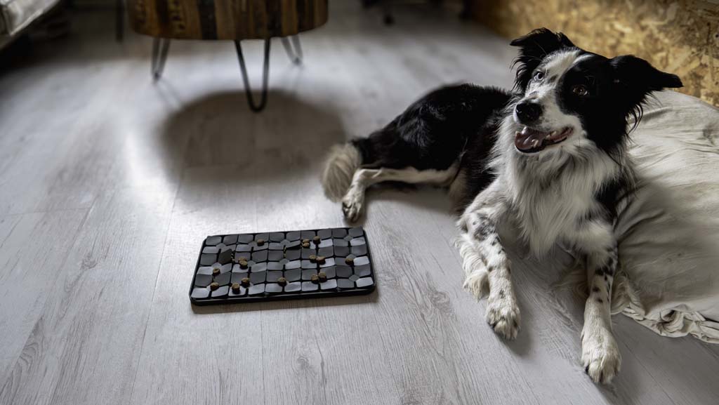 EAN:8716759637146 #5