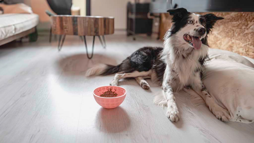 EAN:8716759632752 #6