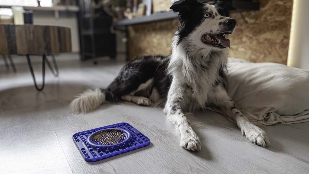 EAN:8716759632868 #6