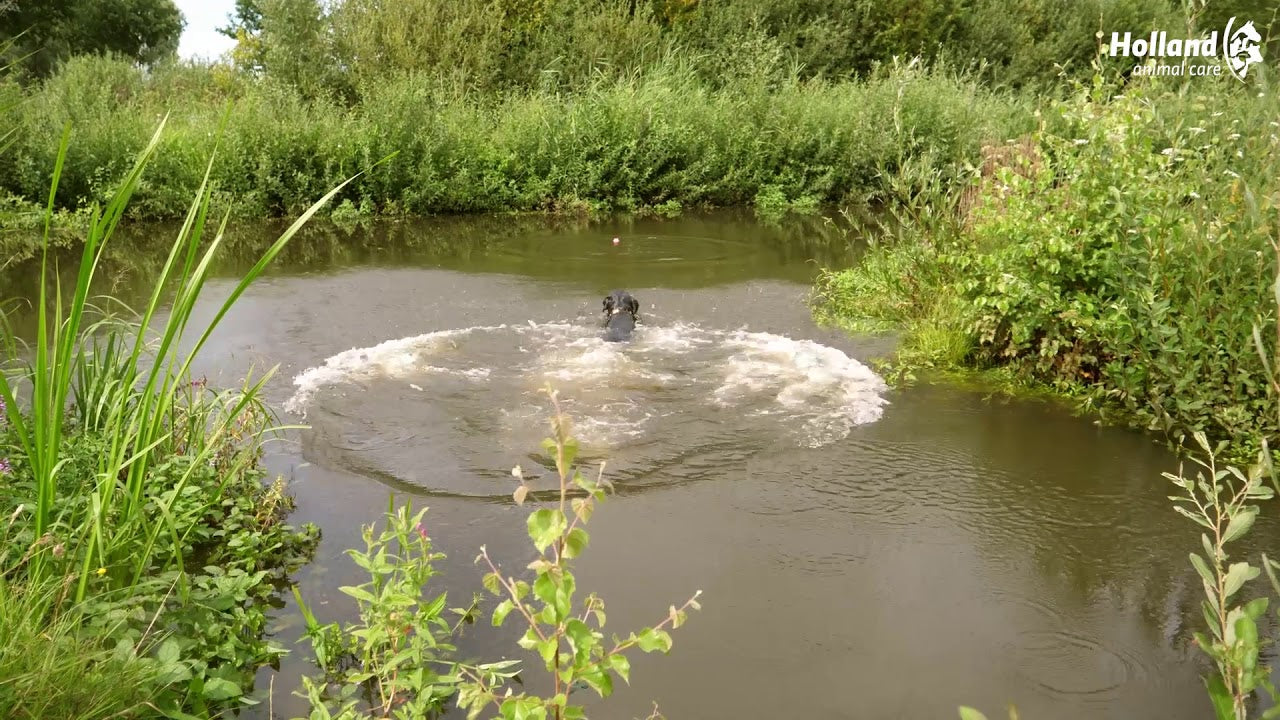 EAN:8716759592797 #5