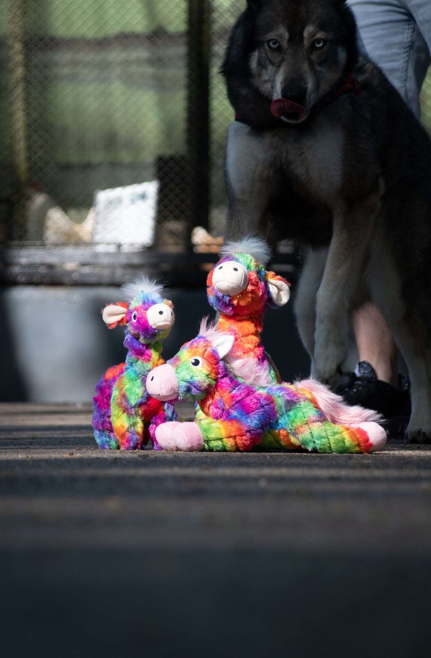 EAN:8716759589636 #3