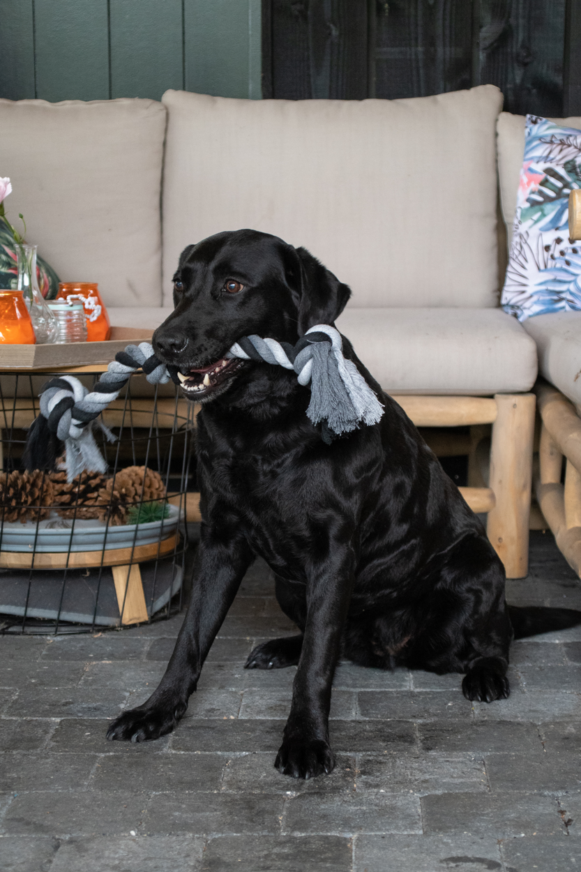 EAN:8716759612686 #2