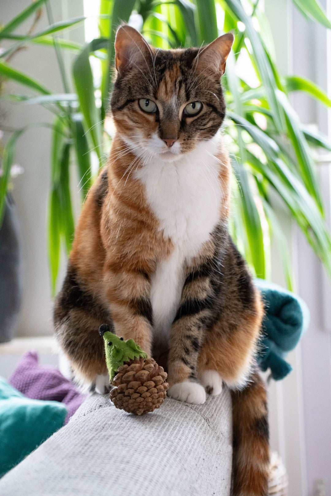 EAN:8716759579750 #3