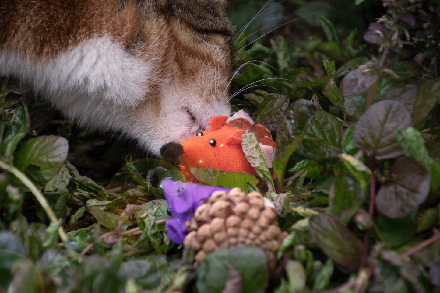 EAN:8716759579798 #3