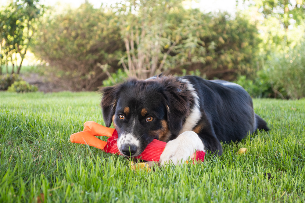 EAN:8716759579408 #4