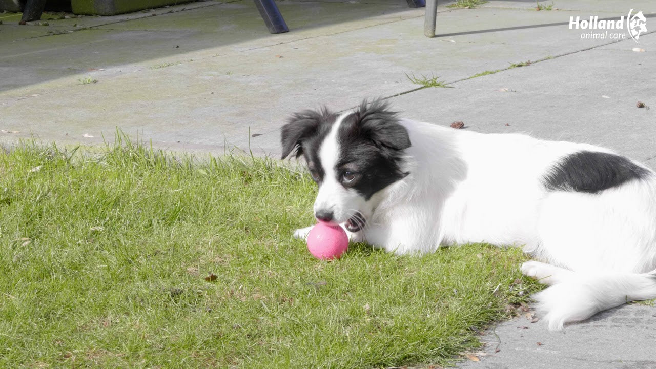 EAN:8716759592773 #4