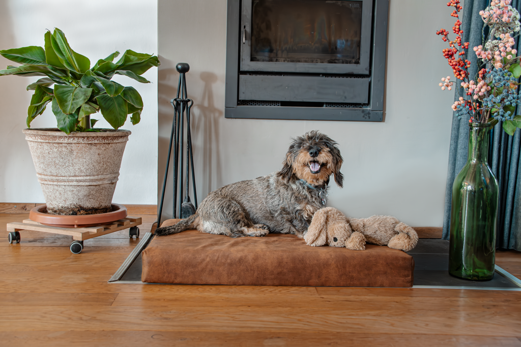 EAN:8716759638716 #2