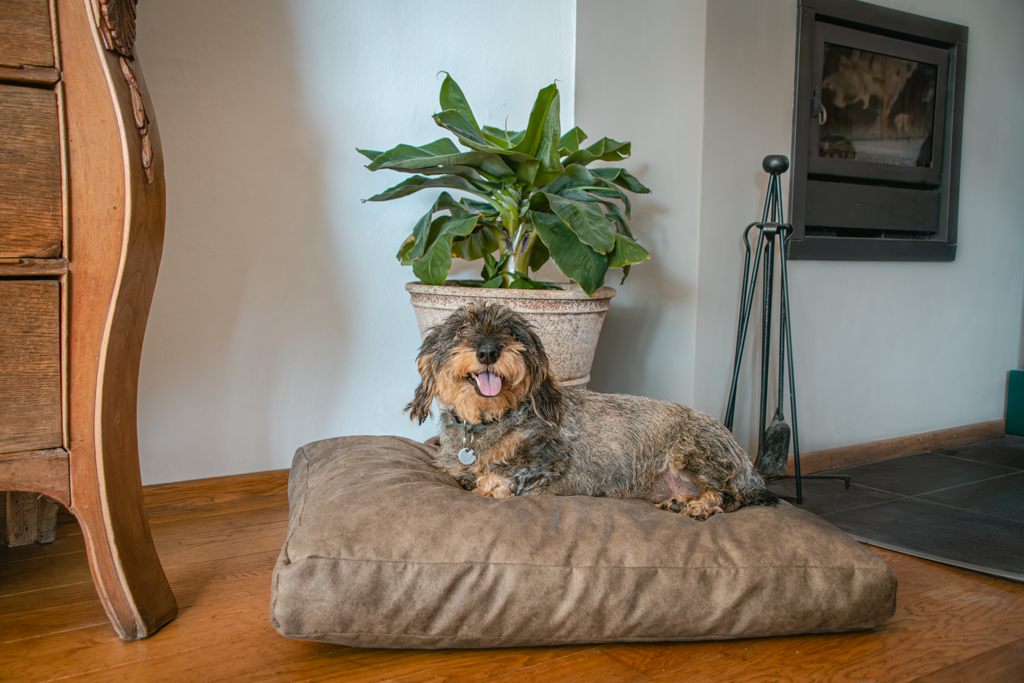 EAN:8716759638730 #2