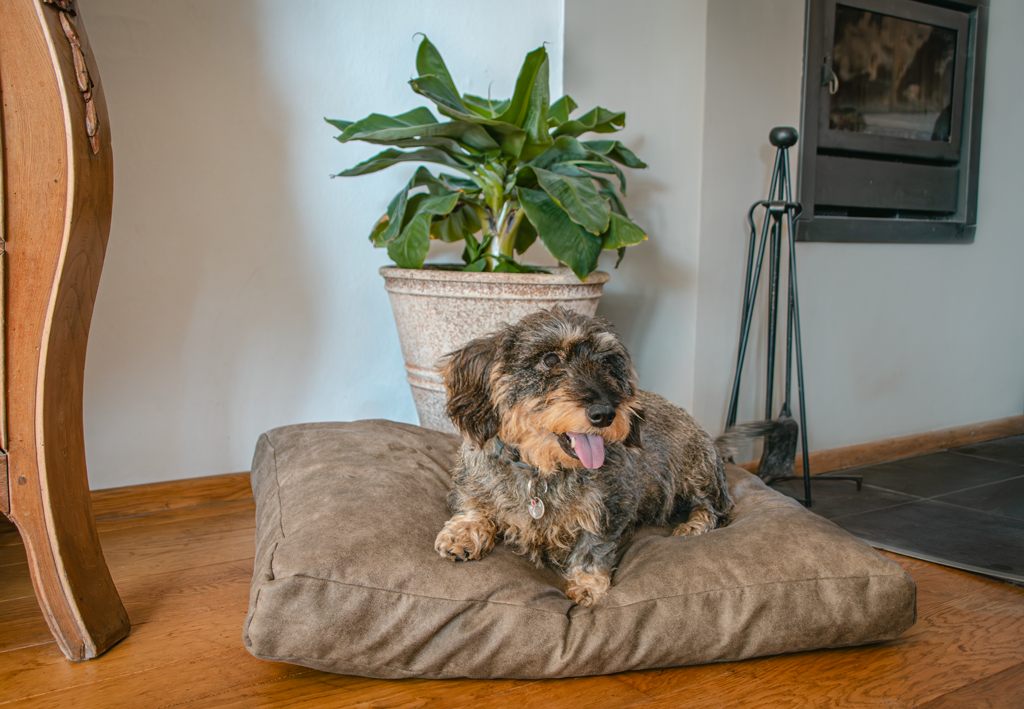 EAN:8716759636064 #3